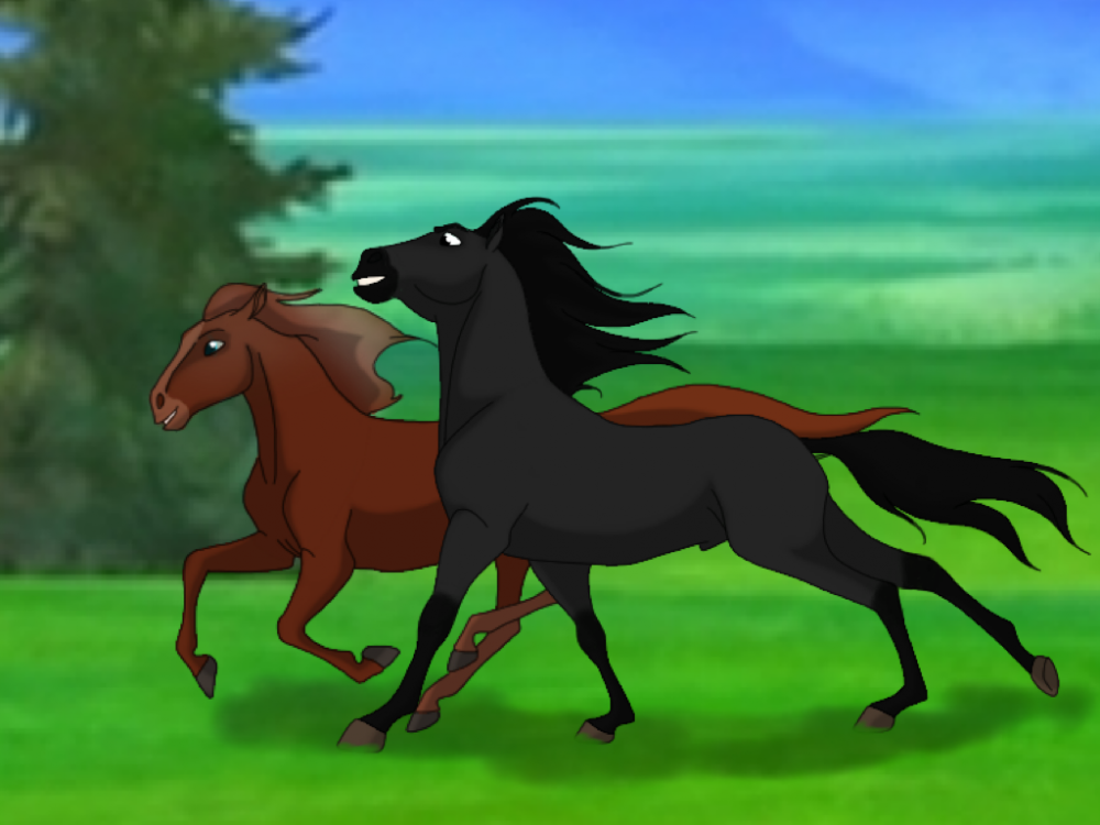 A friendly race; Request