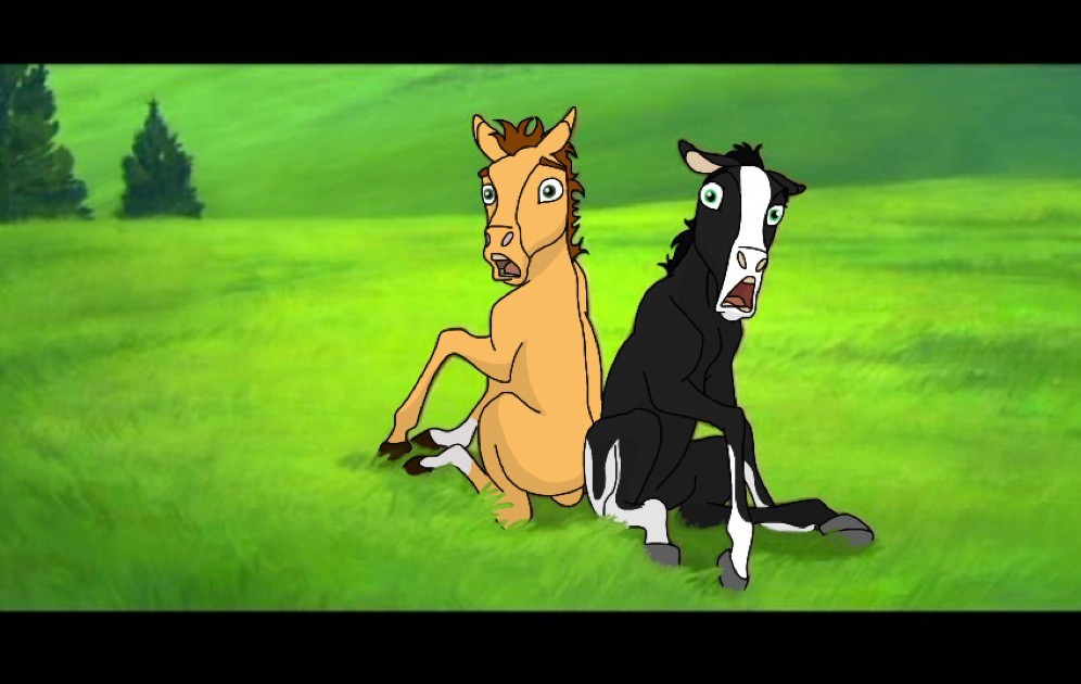 Koan and Ginger