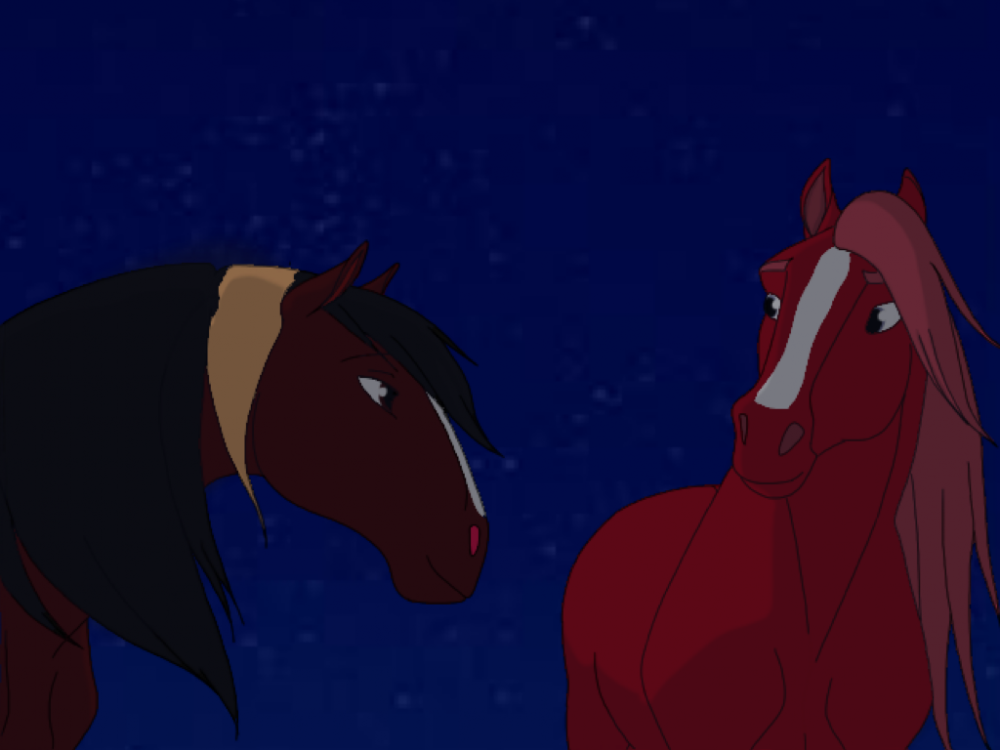 Together under the Stars; Request