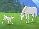 Bah, Foals; Request