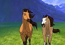 The Cimarron