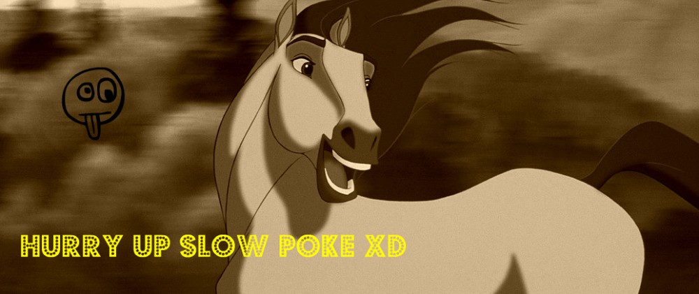 Spirit XD