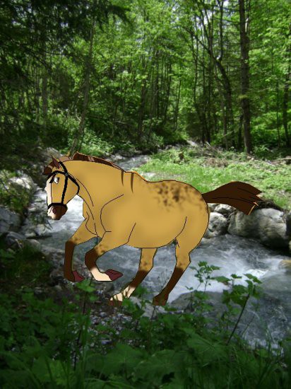 Tanner running in the Stream