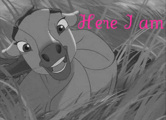 Here i am 