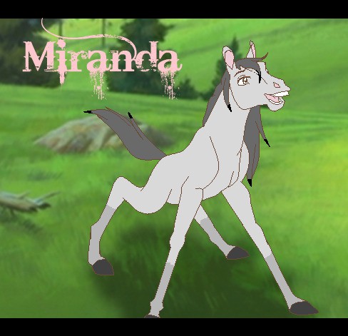 Hayleys request - Miranda as a foal