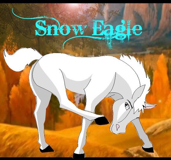 Hayleys Request - Snow Eagle as a foal