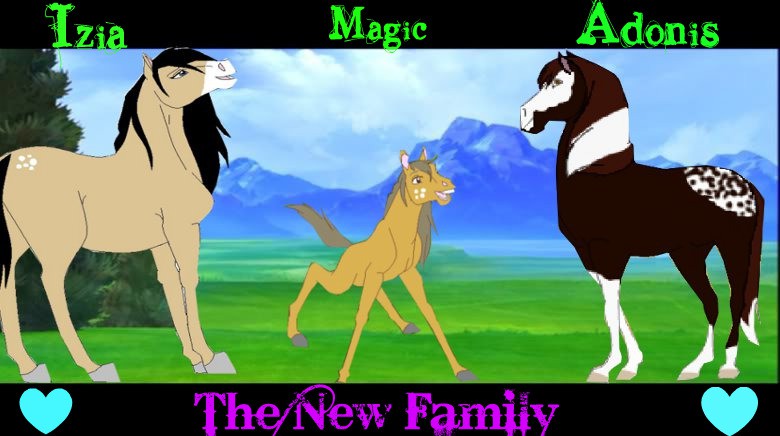 The New Family