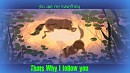 Thats why i follow you