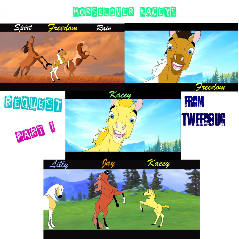 Horselover Kaceys Request - Collage Of Her Chars