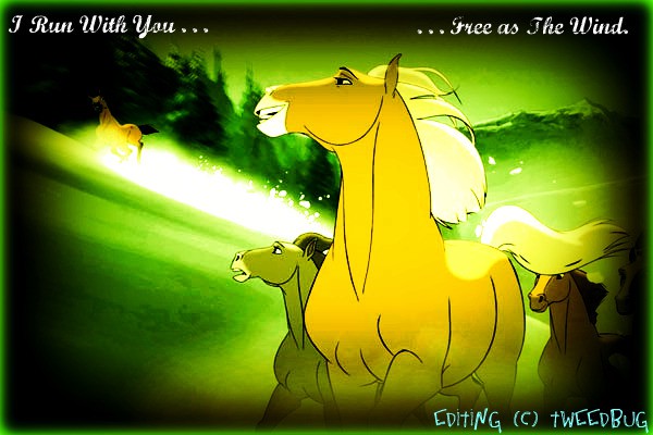 I run with you... ...Free as the wind