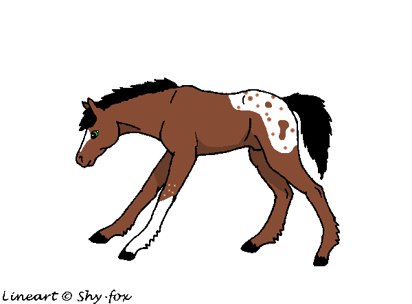 Request for SCote001