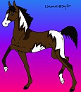 Autumn As A Foal