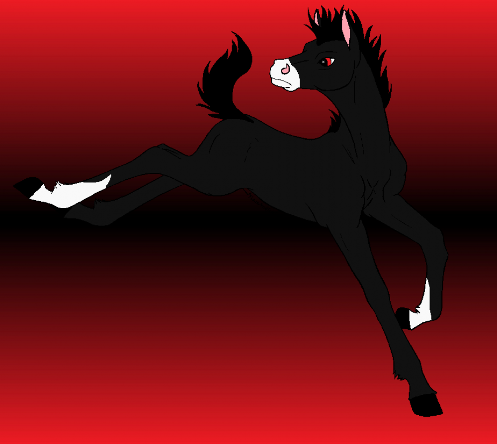 Contest Entry for Scote001
