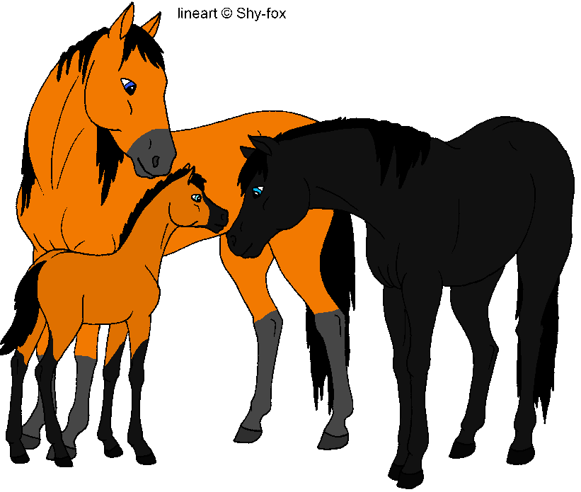Sun Set, Flicka, And possible New Foal :D