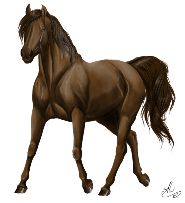 Gift ~ Realistic Brown Beauty