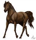 Gift ~ Realistic Brown Beauty