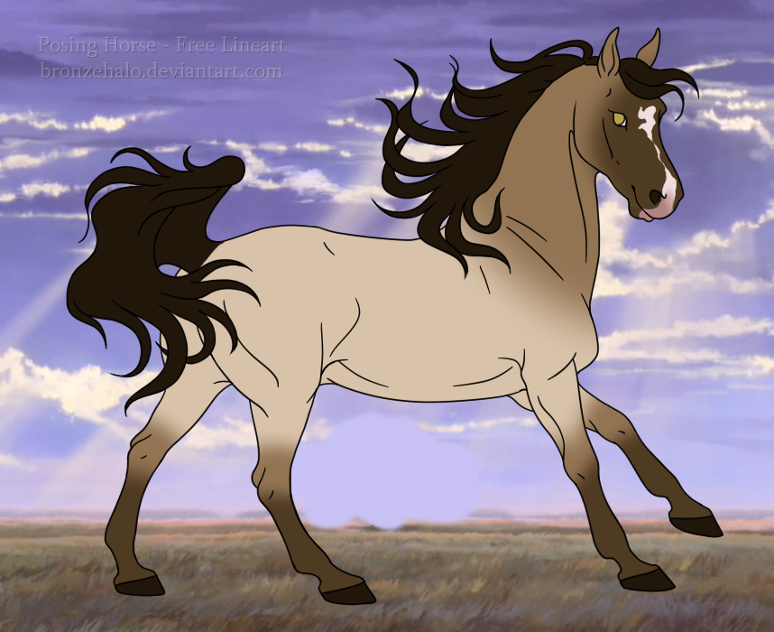 Upcoming stallion