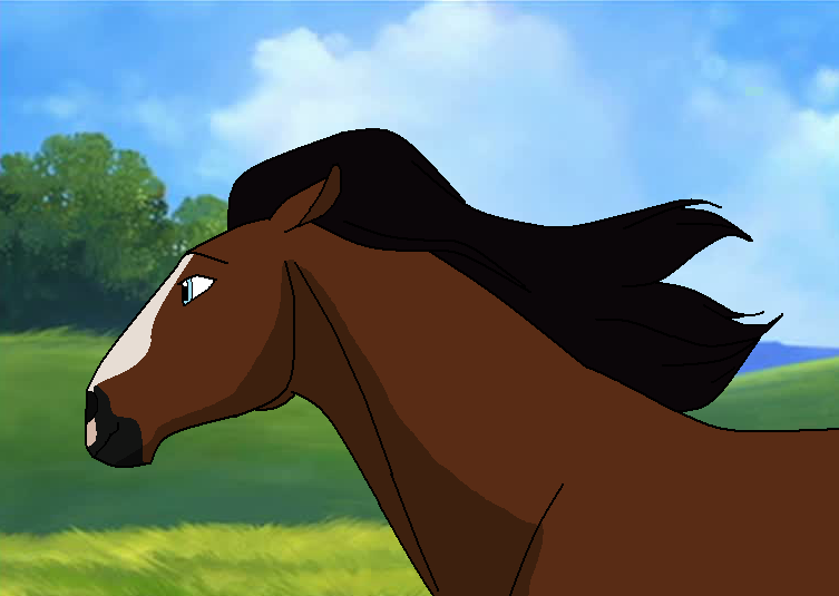 Gallop through the fields