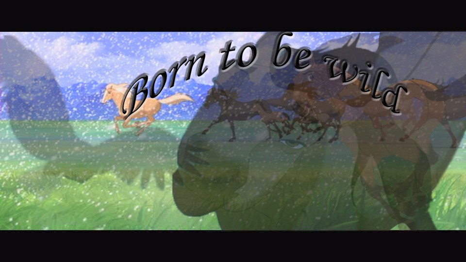 Born to be wild
