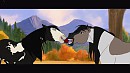 Bandit in love 