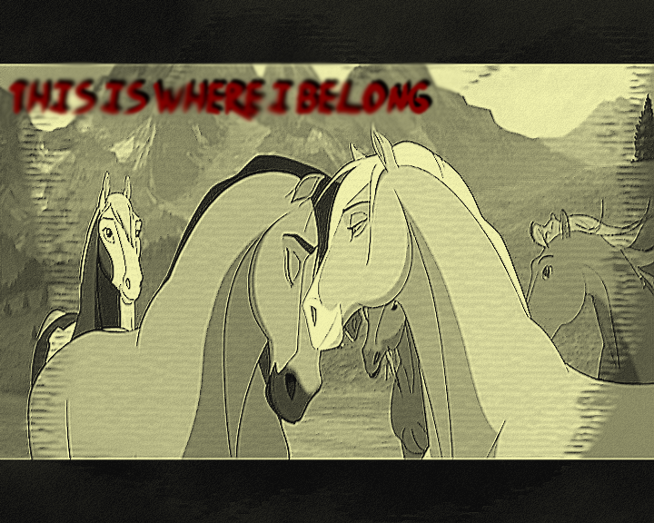 This is where I belong