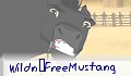 Wildn’FreeMustang