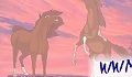 WWM