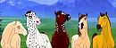 Cimarron Buddies