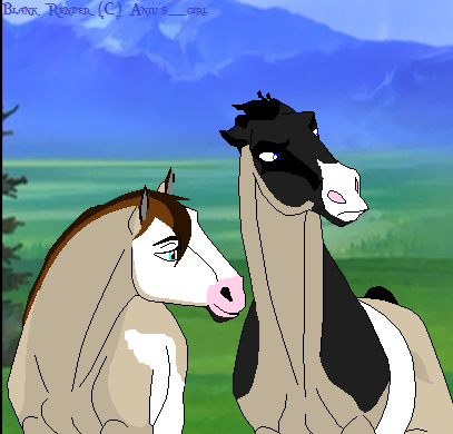 New Mares?