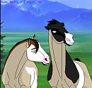New Mares?