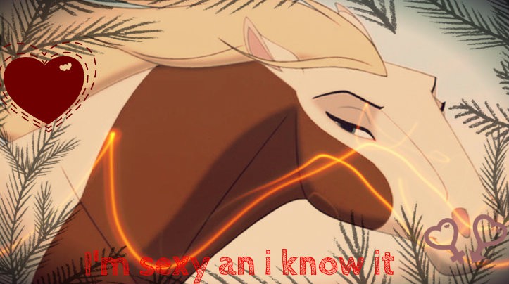 Spirit can't beat Rain's sexiness