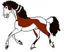 Yearling Angus
