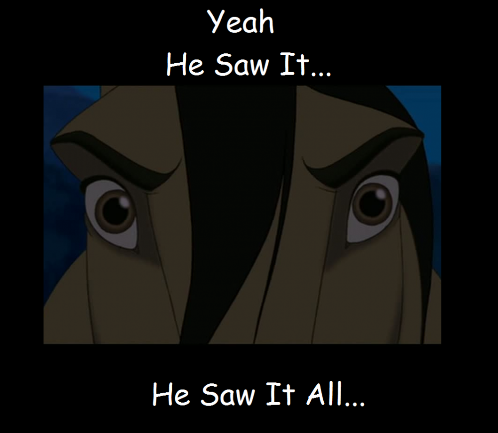 Spirit Sees All