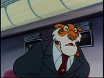 Image Super Baloo : From Here to Machinery