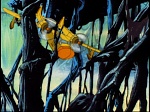 Image Super Baloo : Plunder and Lightning (1)