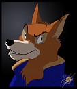 Don Karnage