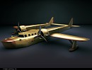 The seaduck