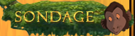 Sondage