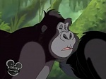 Image La légende de Tarzan