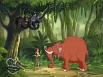 Image La légende de Tarzan