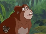 Image La légende de Tarzan