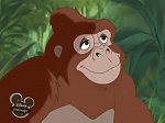 Image La légende de Tarzan