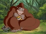 Image Tarzan : Perdu dans la jungle 