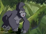 Image La légende de Tarzan