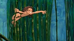 Image Tarzan 2 : L'Enfance d'un héros