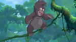 Image Tarzan 2 : L'Enfance d'un héros