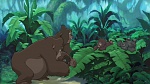 Image Tarzan 2 : L'Enfance d'un héros
