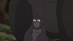 Image Tarzan 2 : L'Enfance d'un héros