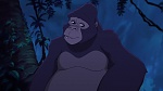 Image Tarzan 2 : L'Enfance d'un héros