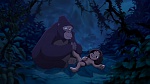 Image Tarzan 2 : L'Enfance d'un héros